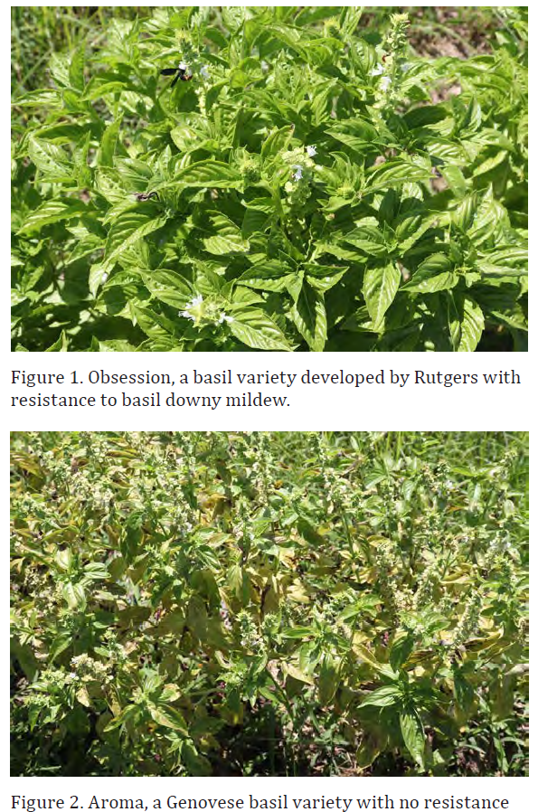 UMF Leslie FIg 1 and 2