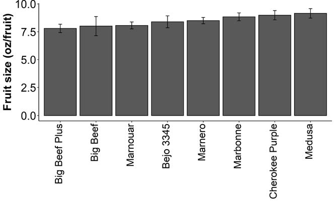 UMF Leslie Fig 3 Avg Fruit size