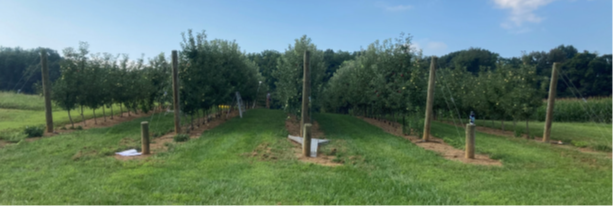 WMREC Farcuh Image 1 small