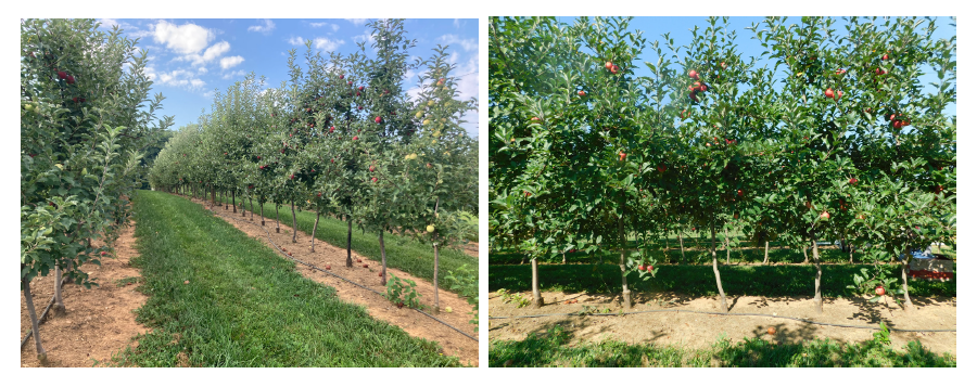 WMREC Farcuh Images 2 3