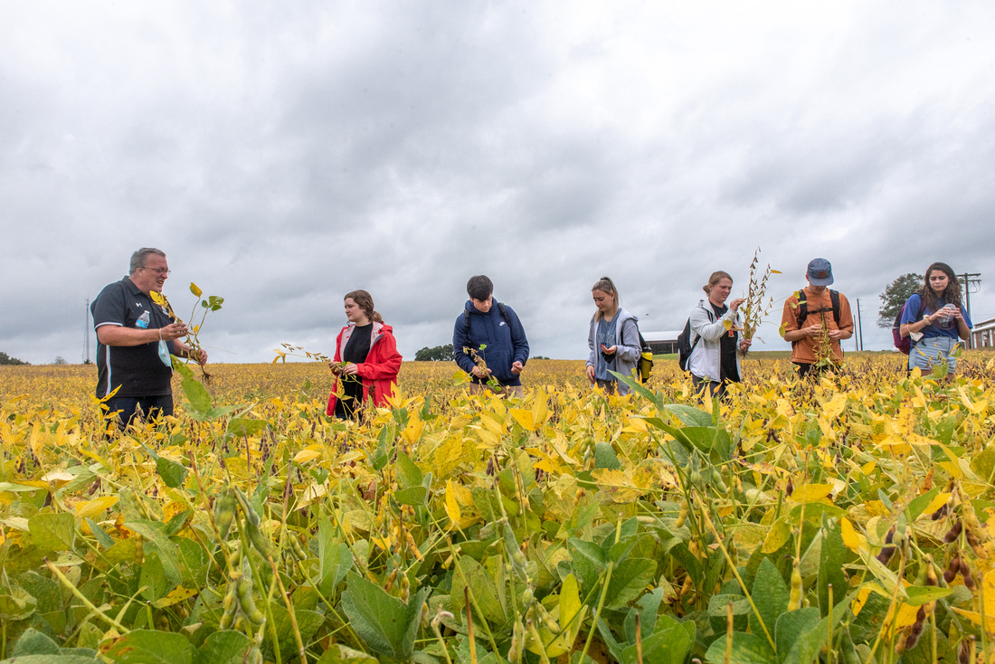 Students in a field with professor