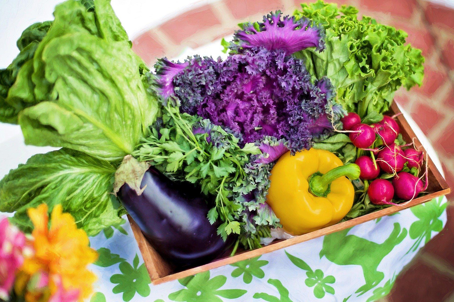 Photo of basket of vegetables