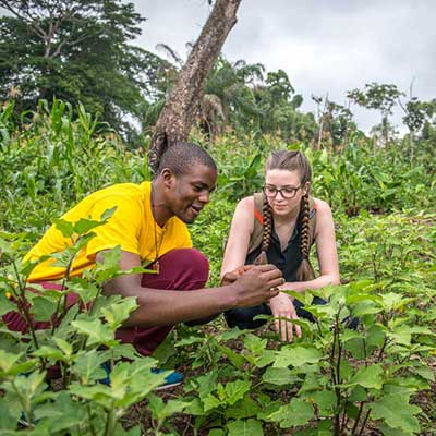 Man and woman squatting down between plants