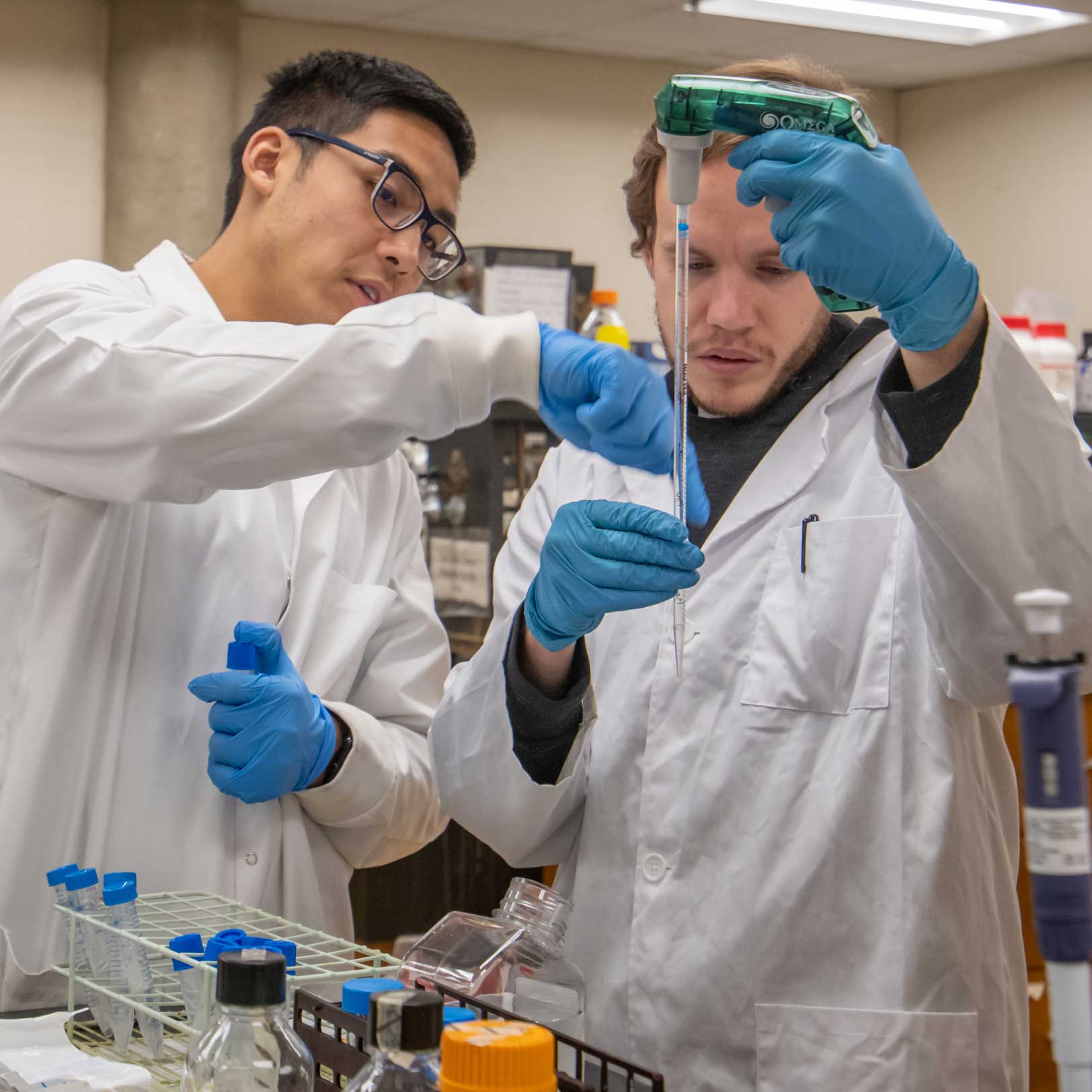 Student researchers