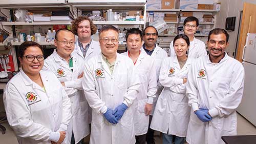 Vet Med researchers in lab