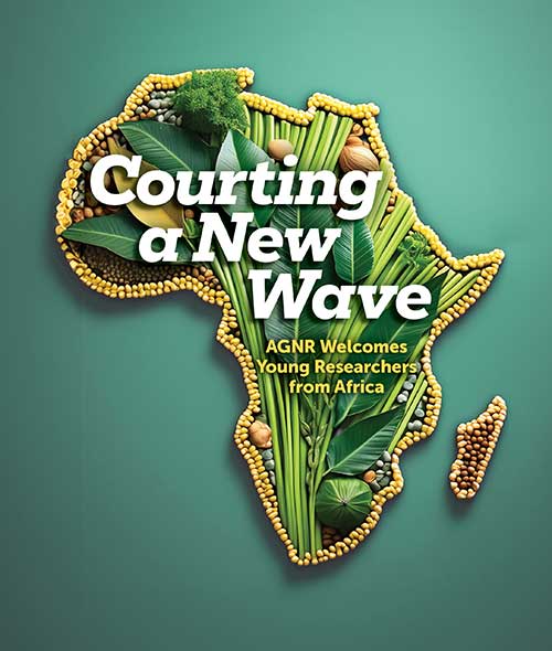 Courting A New Wave title graphic featuring vegetables in the shape of Africa