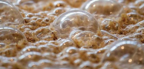 Fermentation bubbles 