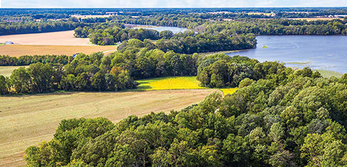 Landscape of trees, farm, and water