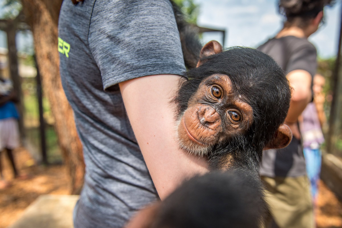 Student with a monkey