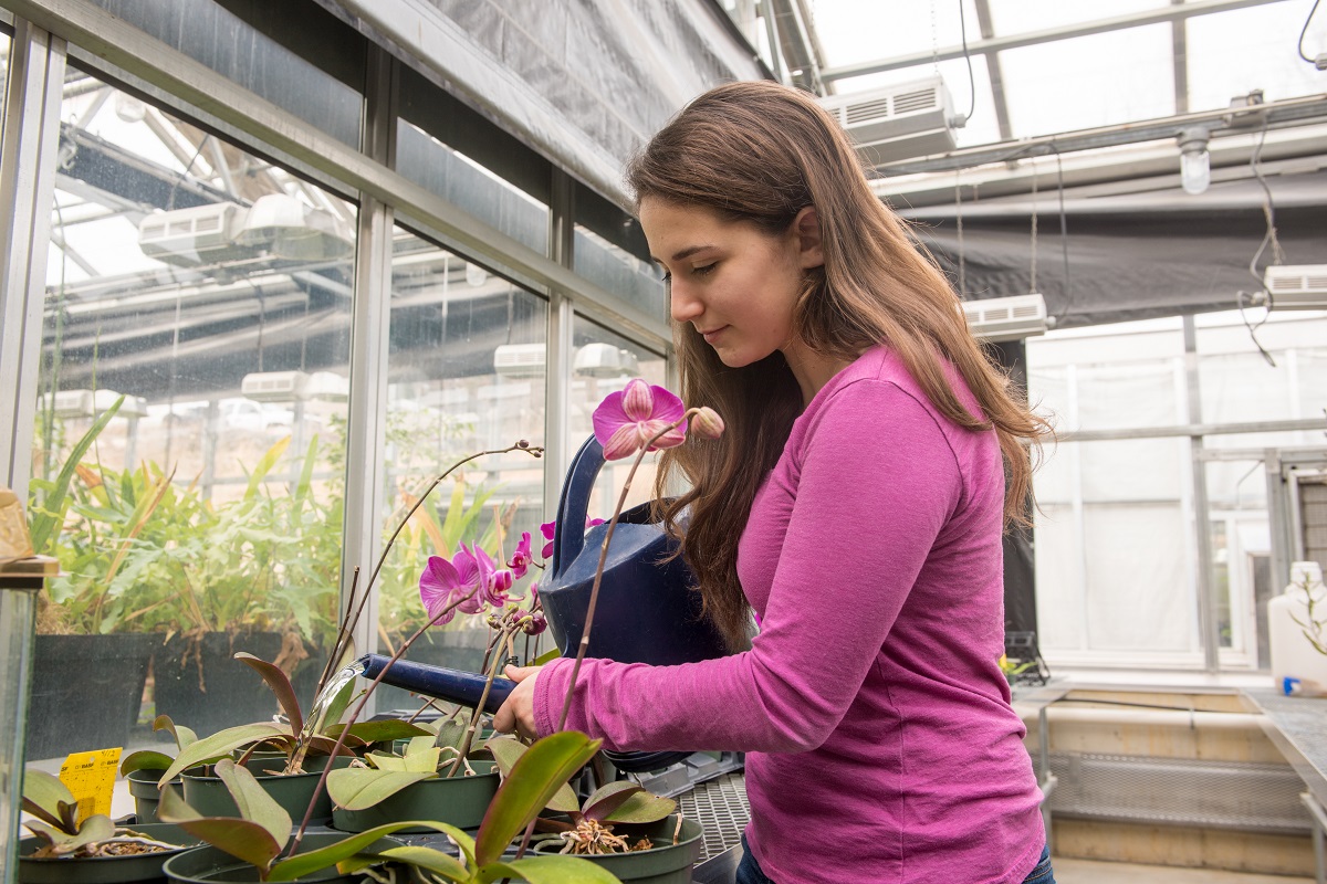 Research Greenhouse Complex