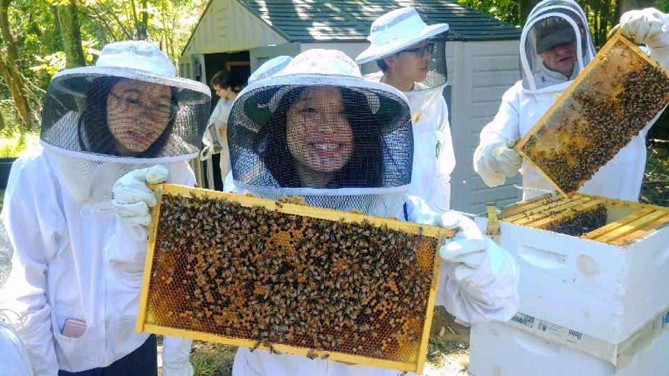 Student with beekeeping suit on, holding up a honeycomb