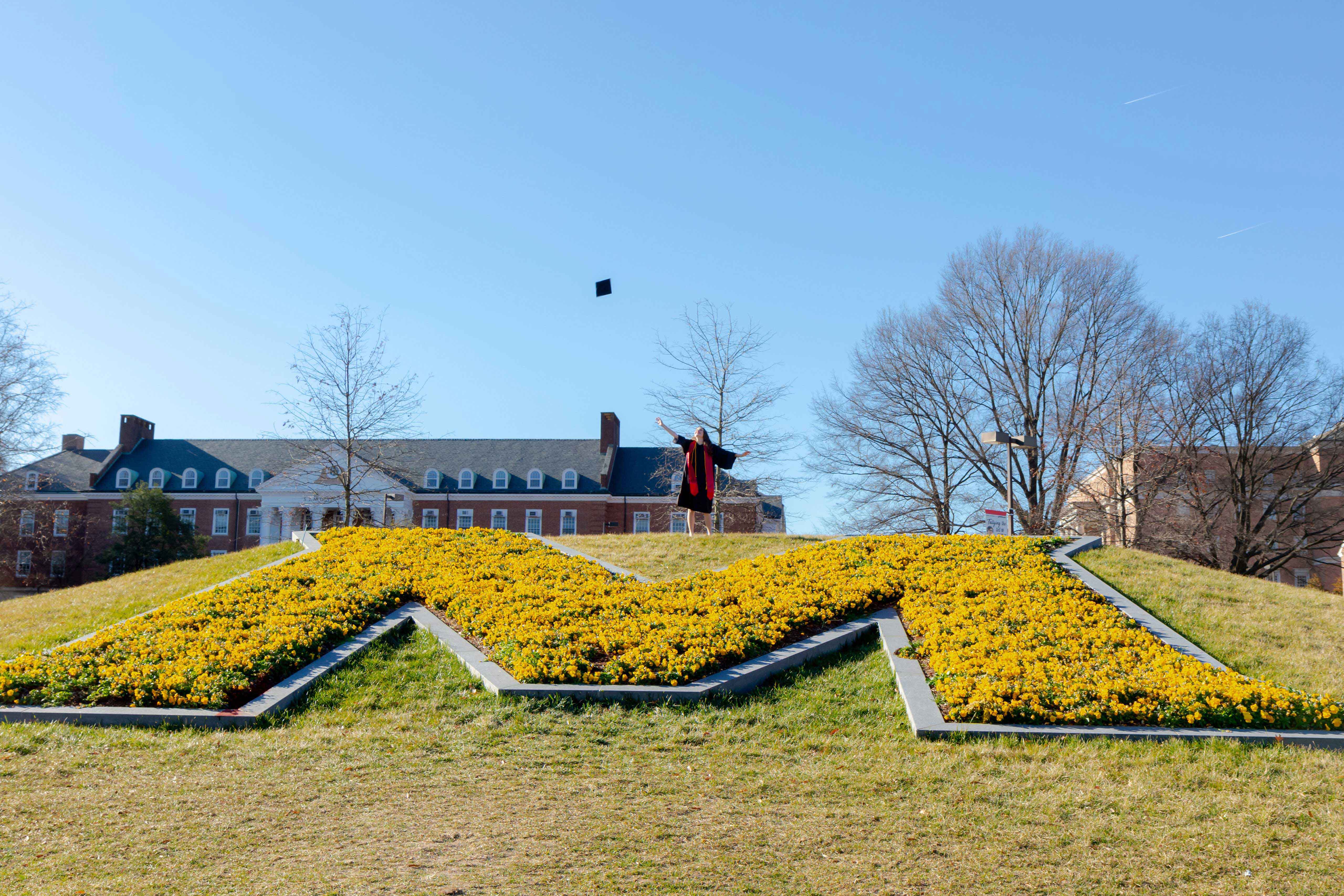 Student throwing up their cap