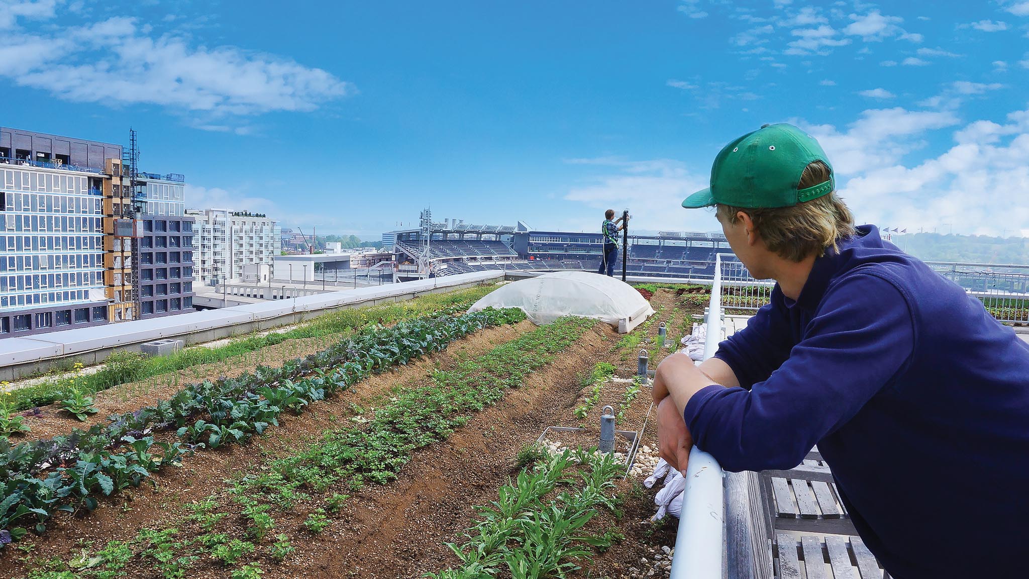 Person looking down from a rooftop garden