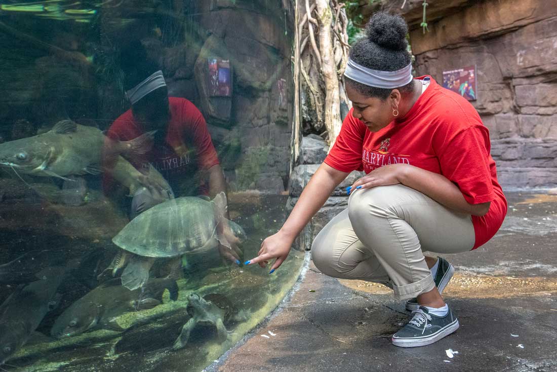 Student at the aquarium 