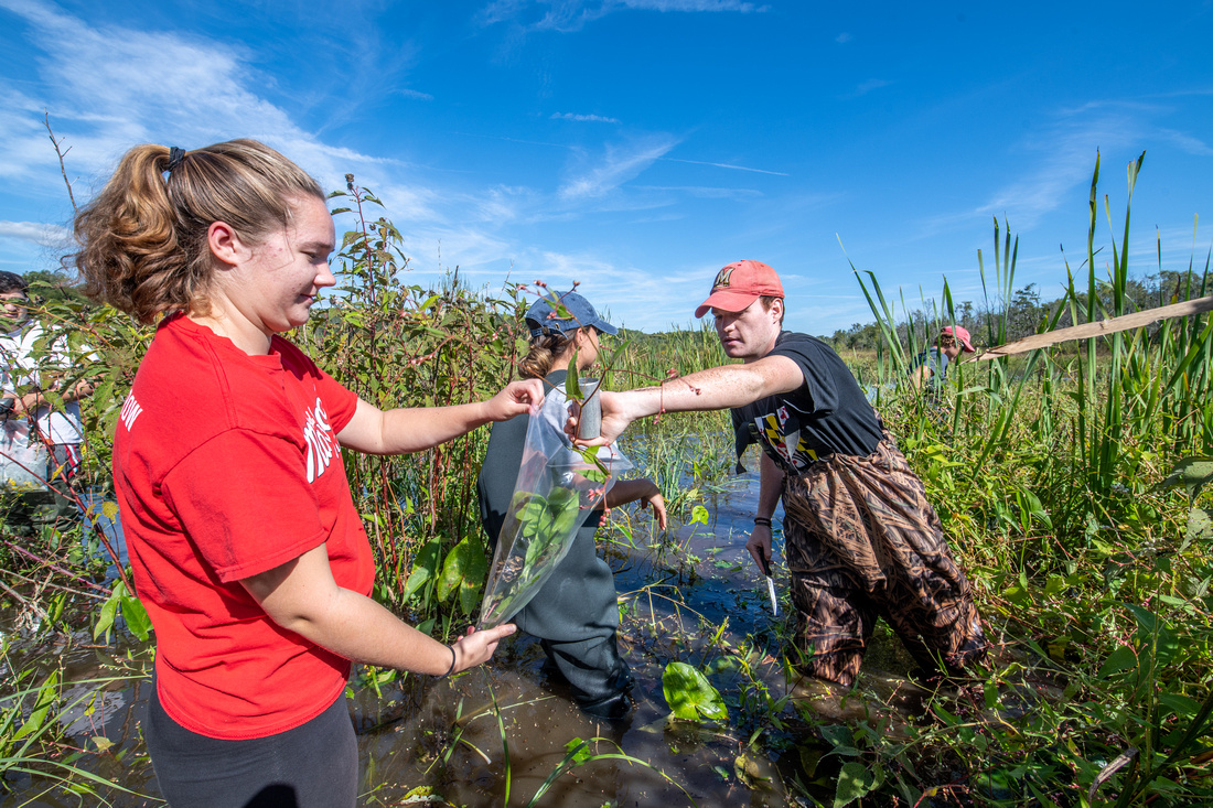 Students in wetlands