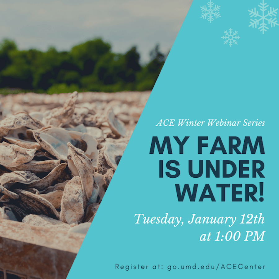 My farm is underwater flyer blue background with photo of oysters