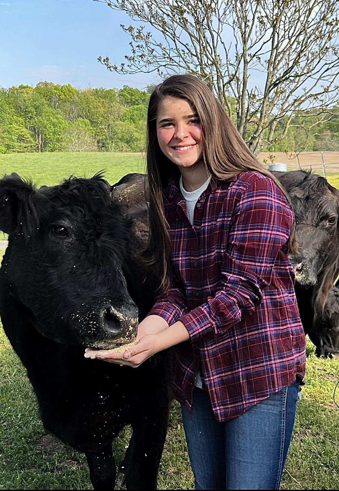 A flannel-clad student happily hand-feeding her black cow. 