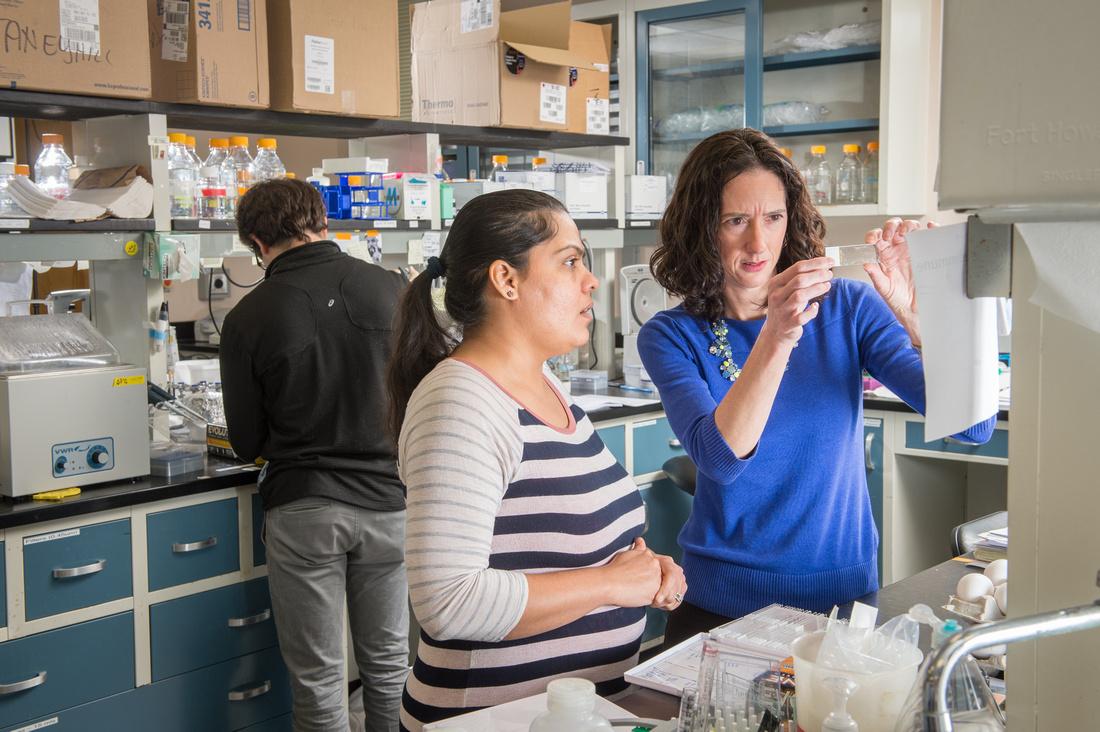 ANSC researcher and graduate student