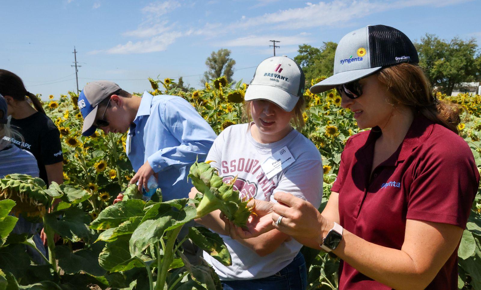 Students with plants in a field