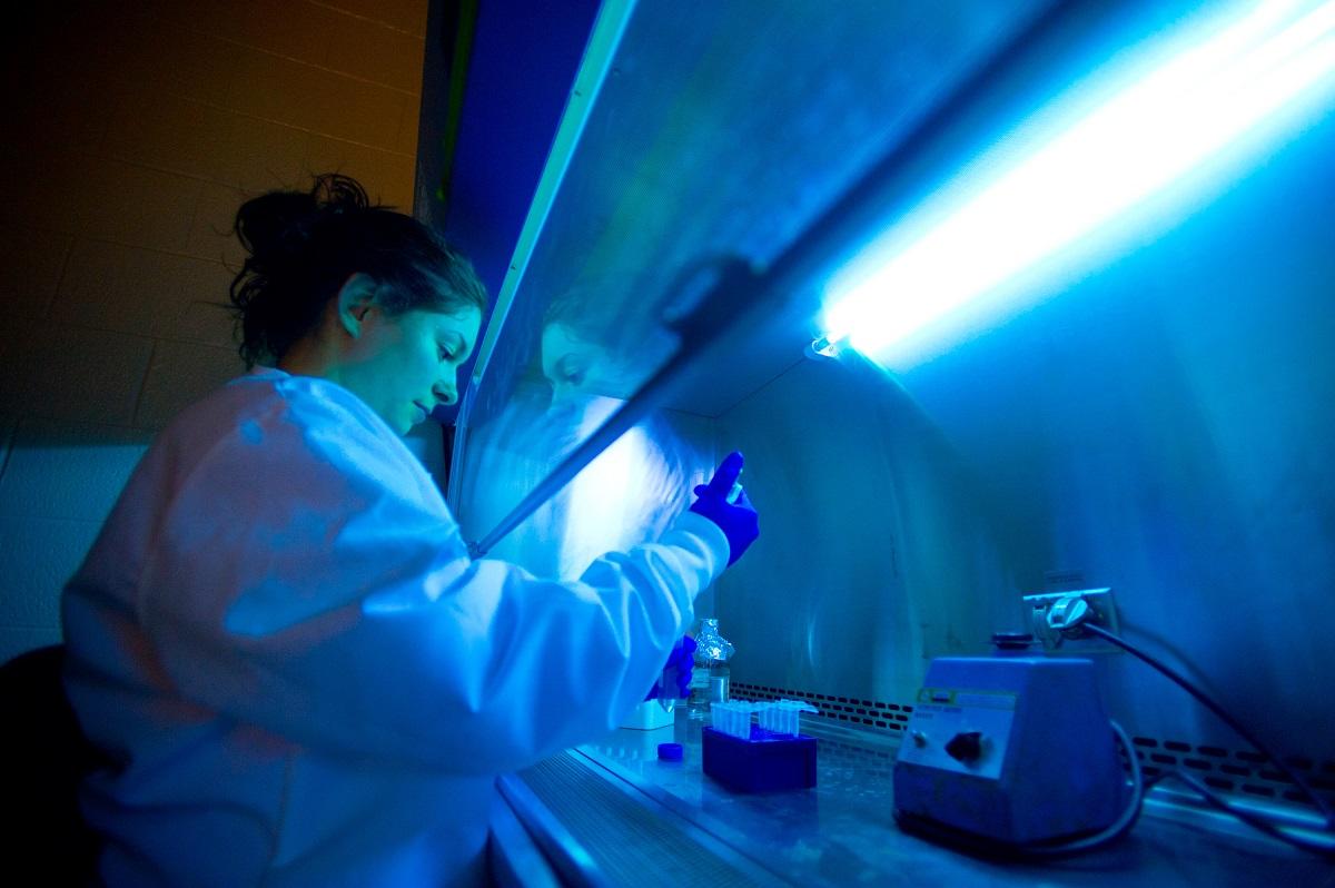 Vet Med grad student