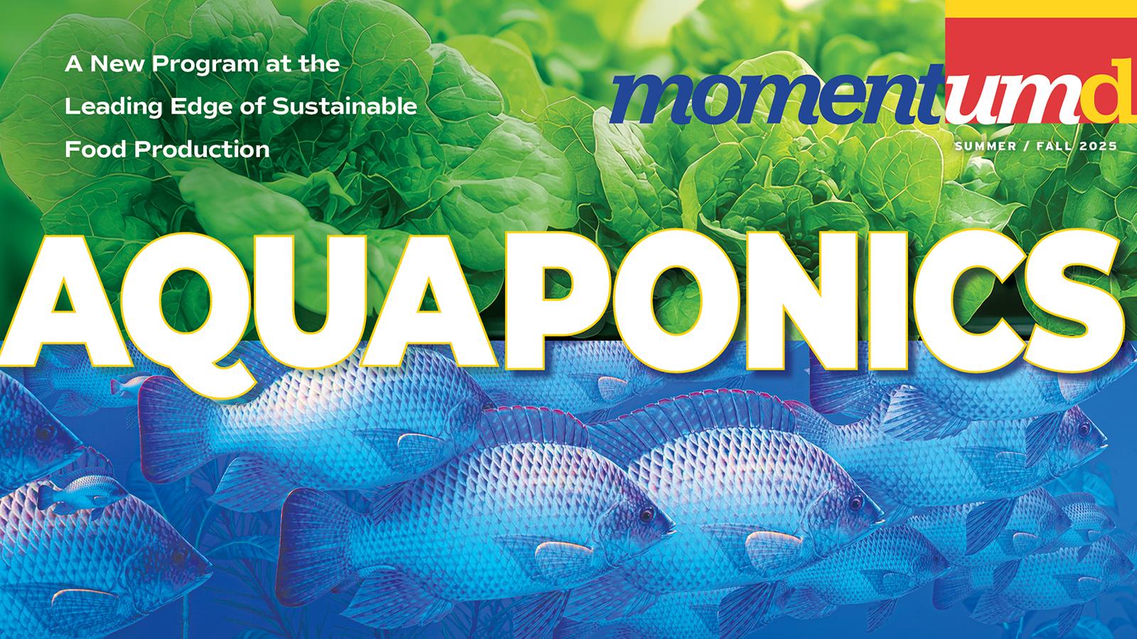 Momentum Magazine cover