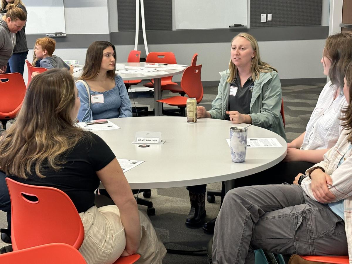 Students talking to a mentor