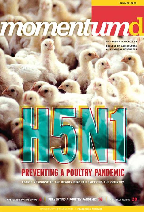 Momentum Magazine Summer 2023 cover