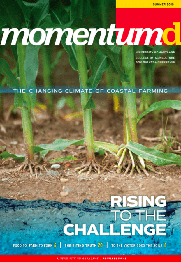 Momentum Magazine Summer 2019 cover 