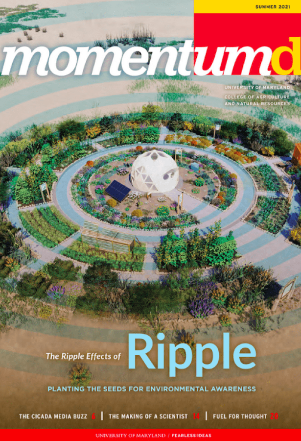 Momentum Magazine Summer 2021 cover