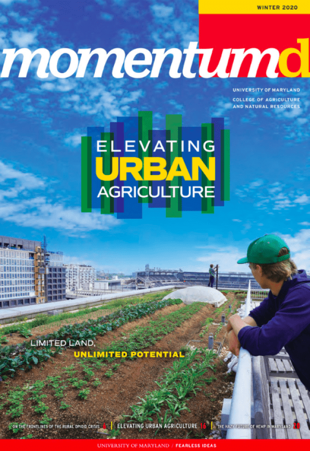 Momentum Magazine Winter 2020 cover 