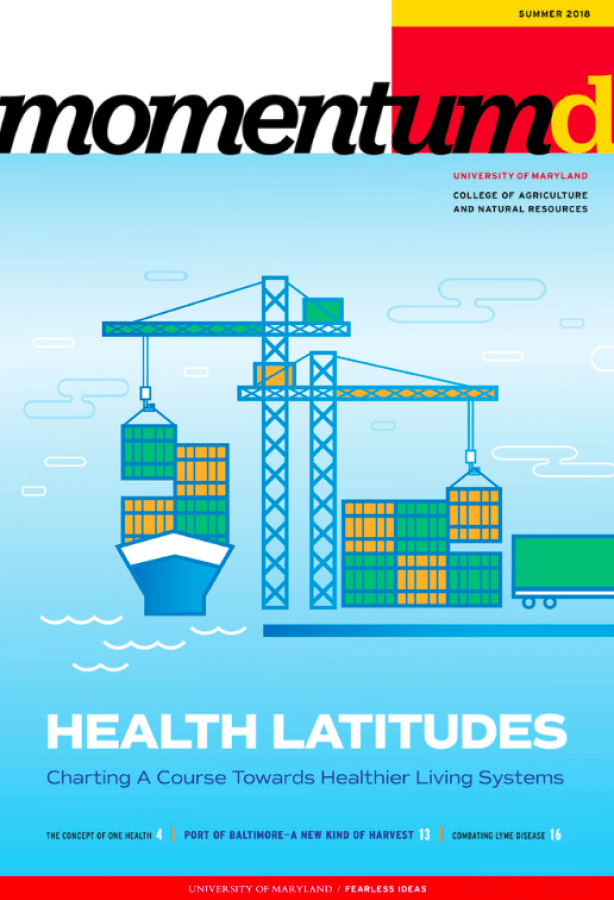 Momentum Magazine Summer 2018 cover 