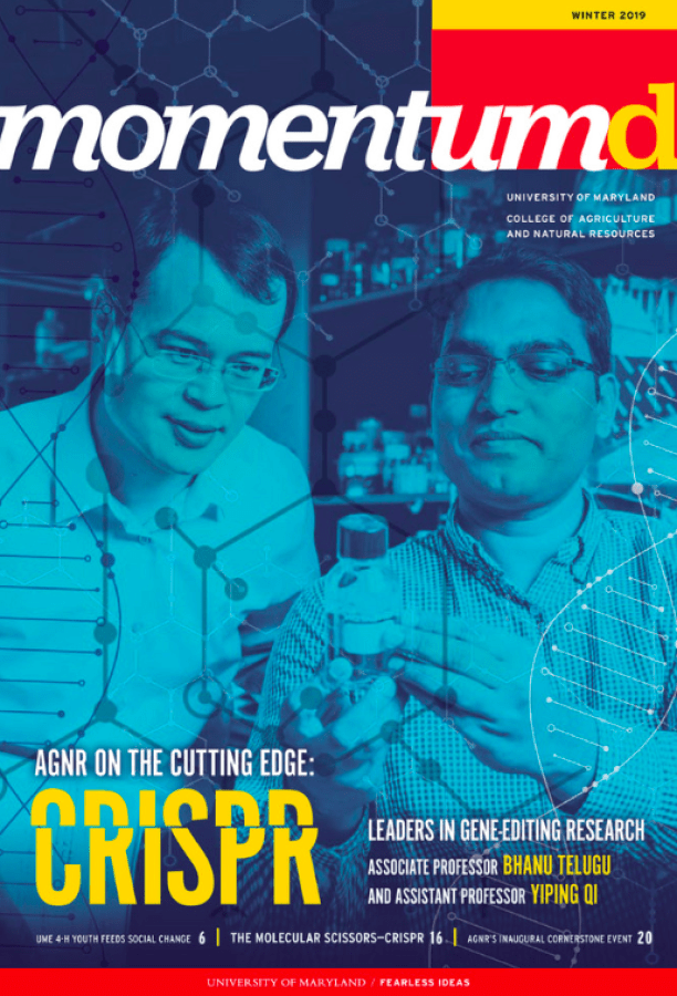 Momentum Magazine Winter 2019 cover 