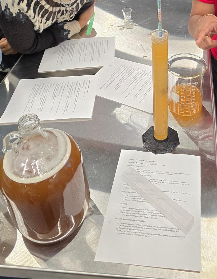 A glass jug, a graduated cylinder, and graduated beaker all holding varied amounts of different stages of Mead, in a laboratory.