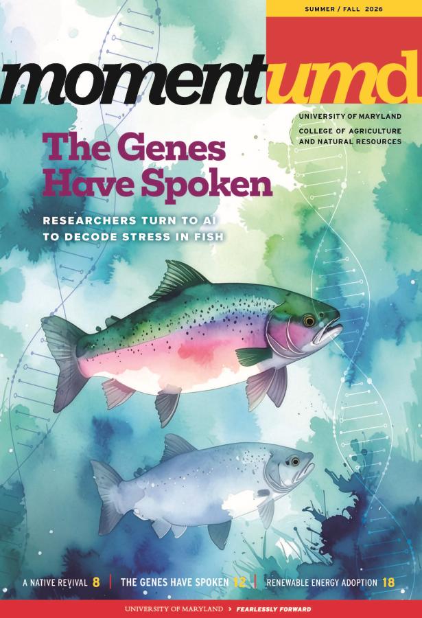 Cover photo of Momentum Magazine Summer/Fall 2026 